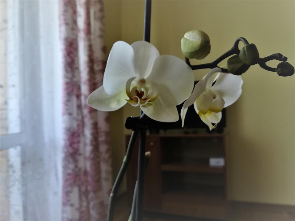 Apartament Na Adamkovskoy Apartman Breszt Kültér fotó